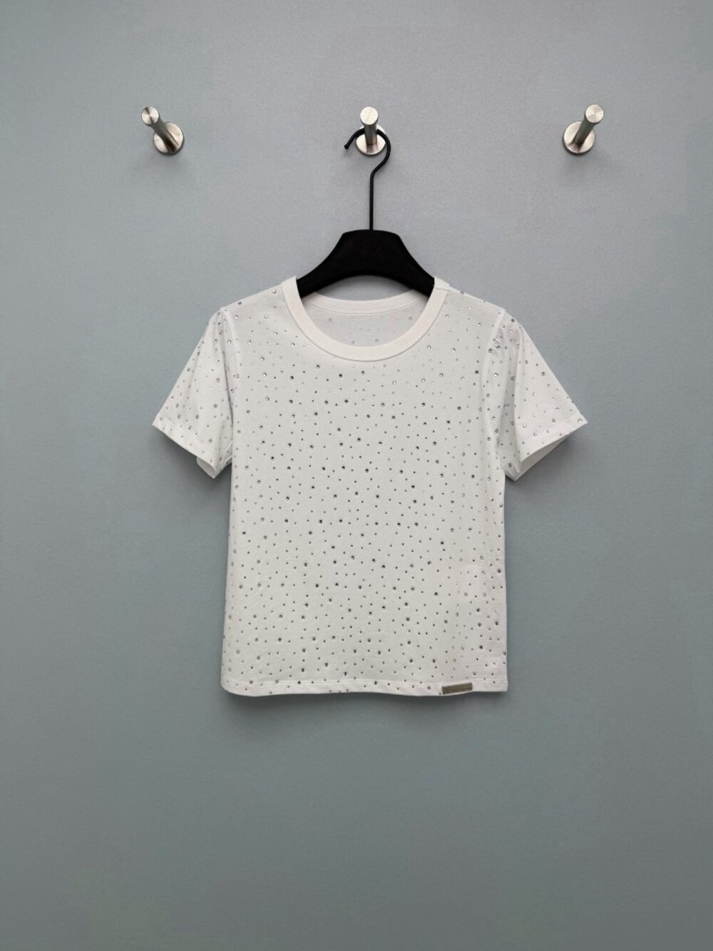 Alexander Wang 2026 Full-Rhinestone Cropped T-Shirt